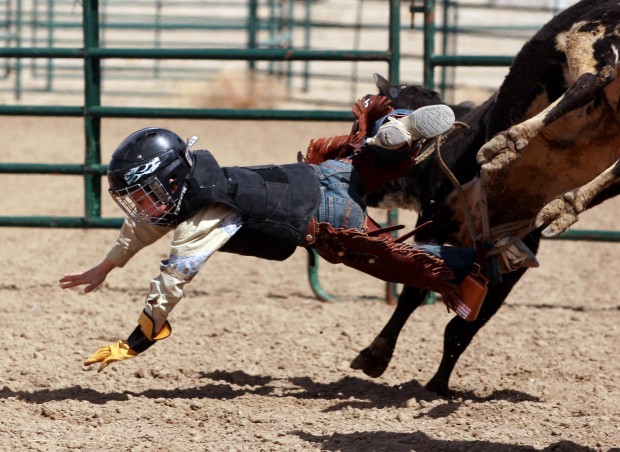 Mini Bull Riding